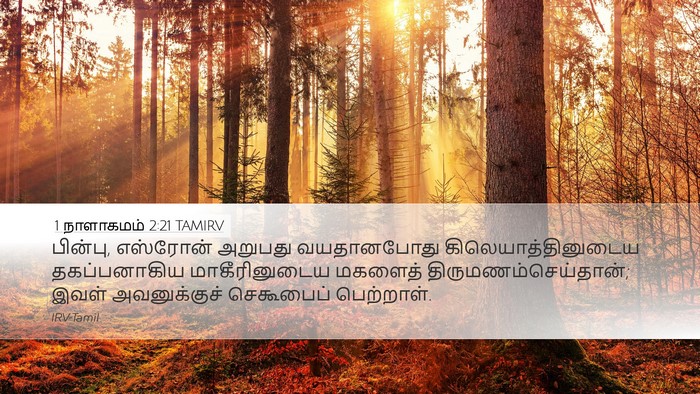 1 நாளாகமம் 2:21 TAMIRV Bible Verse Image