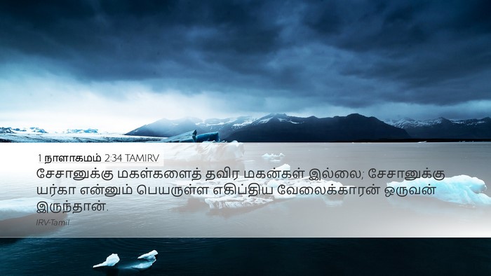 1 நாளாகமம் 2:34 TAMIRV Desktop Wallpaper - சேசானுக்கு - Desktop Bible Verse Wallpaper