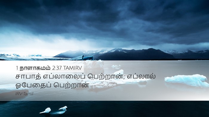 1 நாளாகமம் 2:37 TAMIRV Desktop Wallpaper - சாபாத் எப்லாலைப் - Desktop Bible Verse Wallpaper