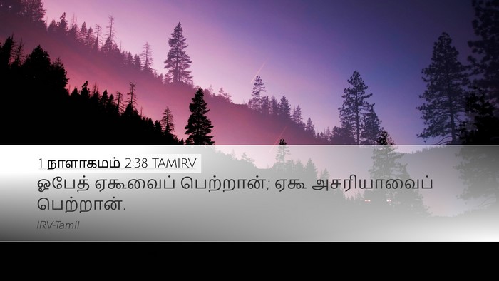 1 நாளாகமம் 2:38 TAMIRV Desktop Wallpaper - ஓபேத் ஏகூவைப் - Desktop Bible Verse Wallpaper