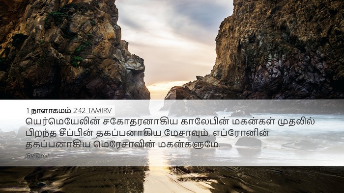 1 நாளாகமம் 2:42 TAMIRV Bible Verse Image