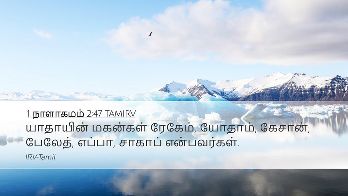 1 நாளாகமம் 2:47 TAMIRV Desktop Wallpaper - யாதாயின் மகன்கள் - Desktop Bible Verse Wallpaper