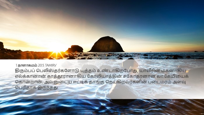 1 நாளாகமம் 20:5 TAMIRV Bible Verse Image