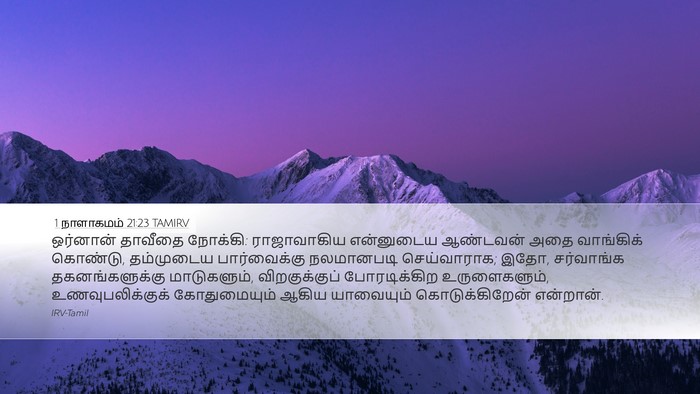 1 நாளாகமம் 21:23 TAMIRV Desktop Wallpaper - ஒர்னான் தாவீதை - Desktop Bible Verse Wallpaper