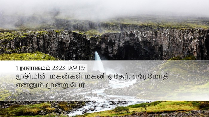 1 நாளாகமம் 23:23 TAMIRV Desktop Wallpaper - மூசியின் மகன்கள் - Desktop Bible Verse Wallpaper