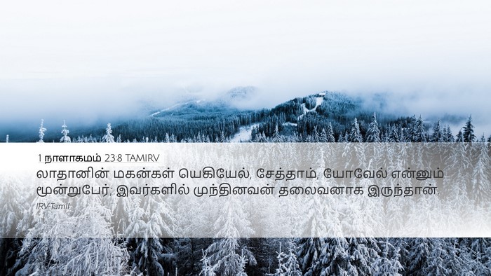 1 நாளாகமம் 23:8 TAMIRV Bible Verse Image