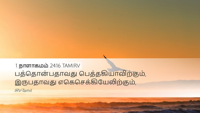 1 நாளாகமம் 24:16 TAMIRV Desktop Wallpaper - பத்தொன்பதாவது - Desktop Bible Verse Wallpaper