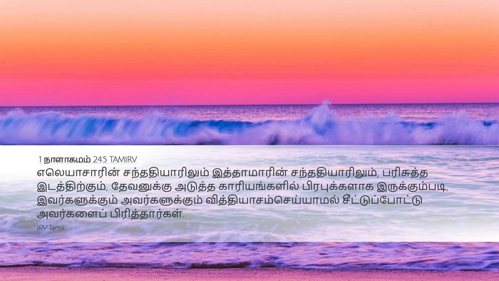 1 நாளாகமம் 24:5 TAMIRV Bible Verse Image