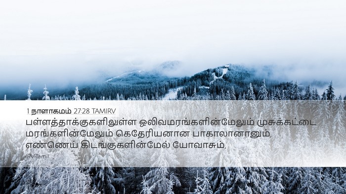 1 நாளாகமம் 27:28 TAMIRV Bible Verse Image
