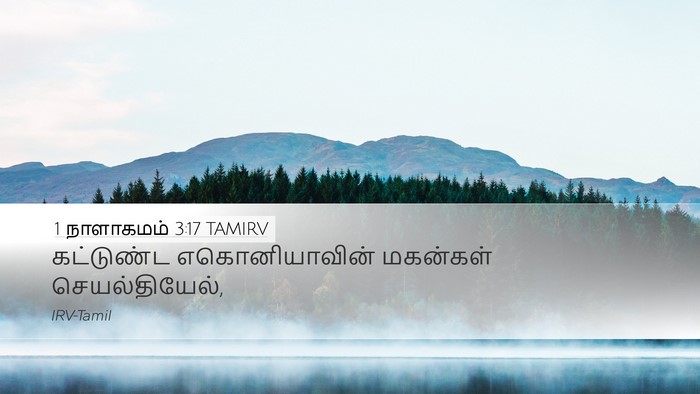 1 நாளாகமம் 3:17 TAMIRV Bible Verse Image