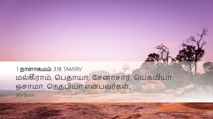 1 நாளாகமம் 3:18 TAMIRV Desktop Wallpaper - மல்கீராம், பெதாயா, - Desktop Bible Verse Wallpaper