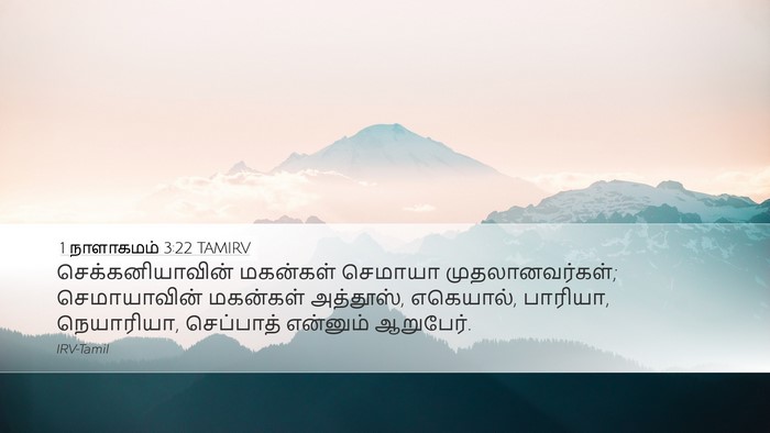 1 நாளாகமம் 3:22 TAMIRV Bible Verse Image
