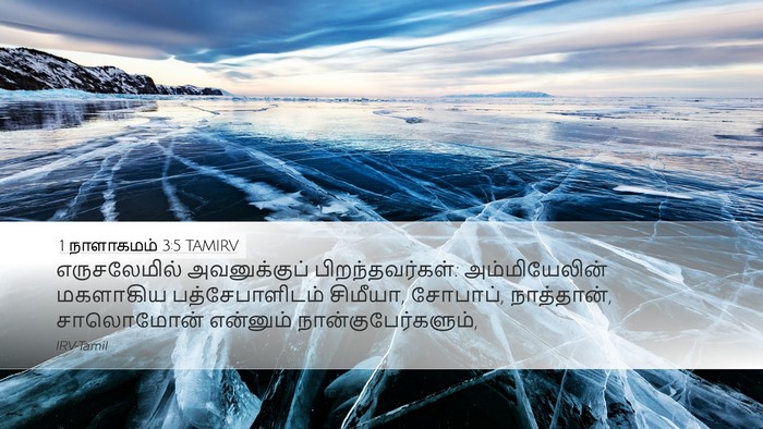 1 நாளாகமம் 3:5 TAMIRV Bible Verse Image