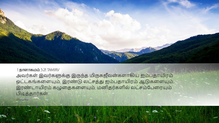 1 நாளாகமம் 5:21 TAMIRV Desktop Wallpaper - அவர்கள் - Desktop Bible Verse Wallpaper