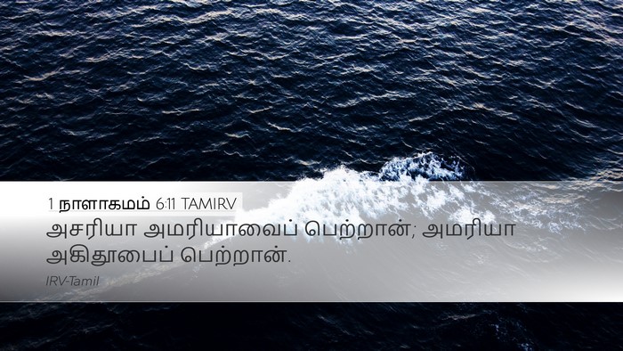 1 நாளாகமம் 6:11 TAMIRV Desktop Wallpaper - அசரியா அமரியாவைப் - Desktop Bible Verse Wallpaper