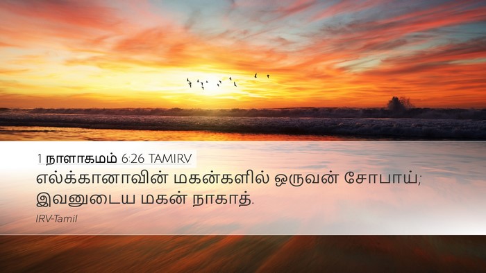 1 நாளாகமம் 6:26 TAMIRV Desktop Wallpaper - எல்க்கானாவின் - Desktop Bible Verse Wallpaper