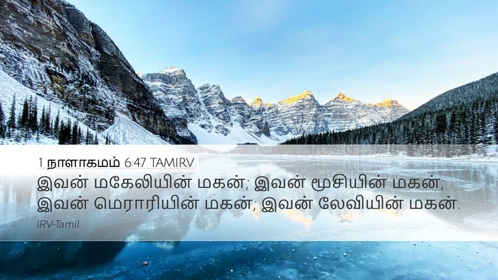 1 நாளாகமம் 6:47 TAMIRV Desktop Wallpaper - இவன் மகேலியின் - Desktop Bible Verse Wallpaper