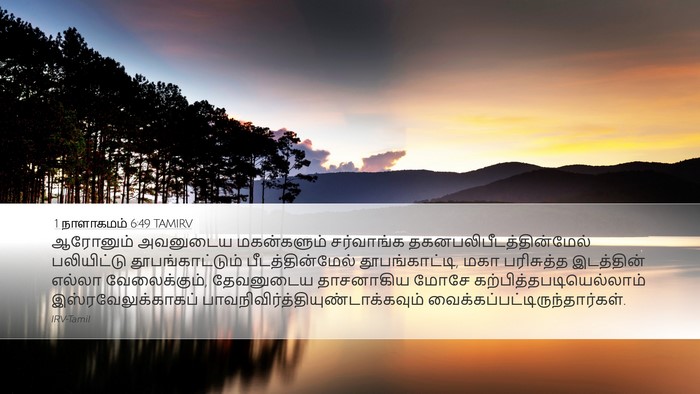 1 நாளாகமம் 6:49 TAMIRV Bible Verse Image