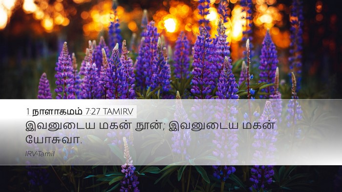 1 நாளாகமம் 7:27 TAMIRV Desktop Wallpaper - இவனுடைய மகன் நூன்; - Desktop Bible Verse Wallpaper