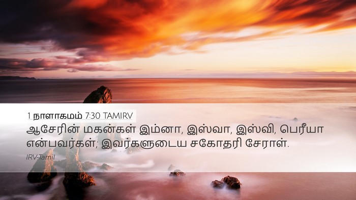 1 நாளாகமம் 7:30 TAMIRV Desktop Wallpaper - ஆசேரின் மகன்கள் - Desktop Bible Verse Wallpaper