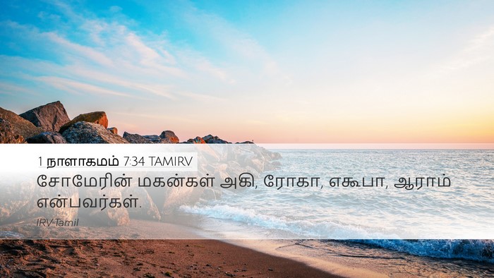 1 நாளாகமம் 7:34 TAMIRV Desktop Wallpaper - சோமேரின் மகன்கள் - Desktop Bible Verse Wallpaper