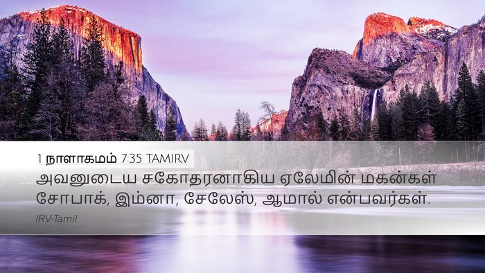 1 நாளாகமம் 7:35 TAMIRV Desktop Wallpaper - அவனுடைய - Desktop Bible Verse Wallpaper