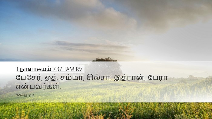 1 நாளாகமம் 7:37 TAMIRV Desktop Wallpaper - பேசேர், ஓத், சம்மா, - Desktop Bible Verse Wallpaper