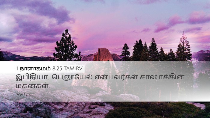 1 நாளாகமம் 8:25 TAMIRV Desktop Wallpaper - இபிதியா, பெனூயேல் - Desktop Bible Verse Wallpaper