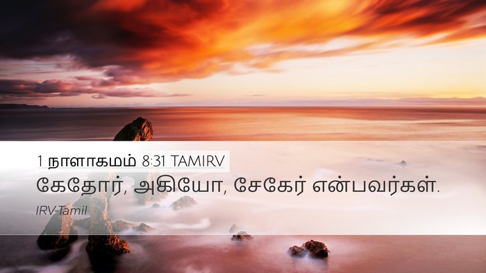 1 நாளாகமம் 8:31 TAMIRV Bible Verse Image