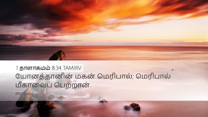 1 நாளாகமம் 8:34 TAMIRV Bible Verse Image