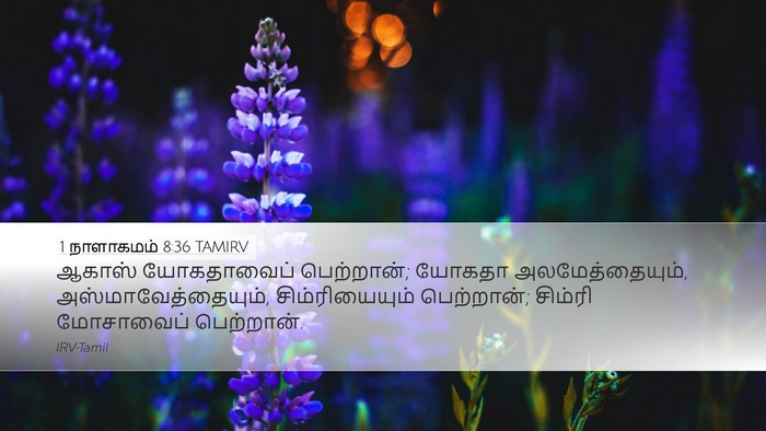 1 நாளாகமம் 8:36 TAMIRV Bible Verse Image