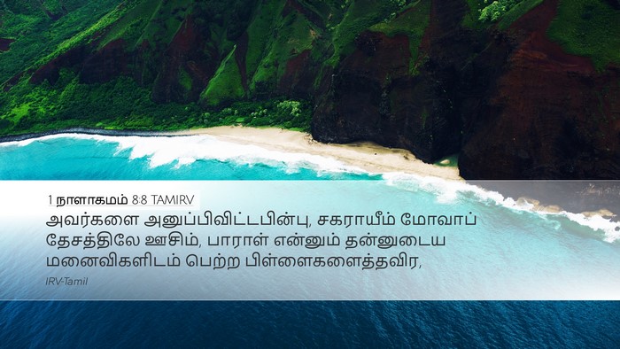 1 நாளாகமம் 8:8 TAMIRV Bible Verse Image