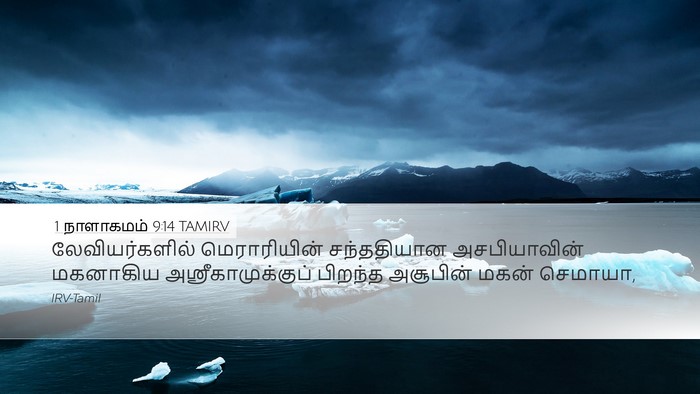 1 நாளாகமம் 9:14 TAMIRV Bible Verse Image