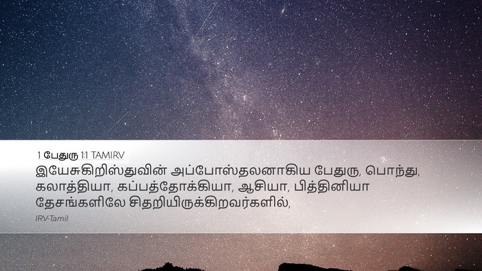 1 பேதுரு 1:1 TAMIRV Bible Verse Image