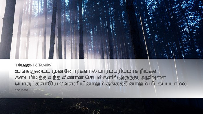 1 பேதுரு 1:18 TAMIRV Bible Verse Image