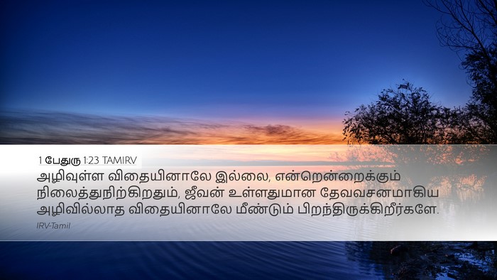 1 பேதுரு 1:23 TAMIRV Bible Verse Image