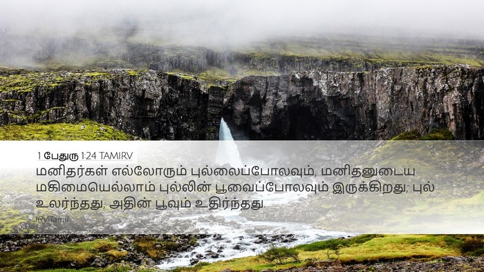 1 பேதுரு 1:24 TAMIRV Bible Verse Image