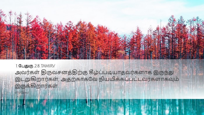 1 பேதுரு 2:8 TAMIRV Bible Verse Image