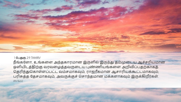 1 பேதுரு 2:9 TAMIRV Bible Verse Image