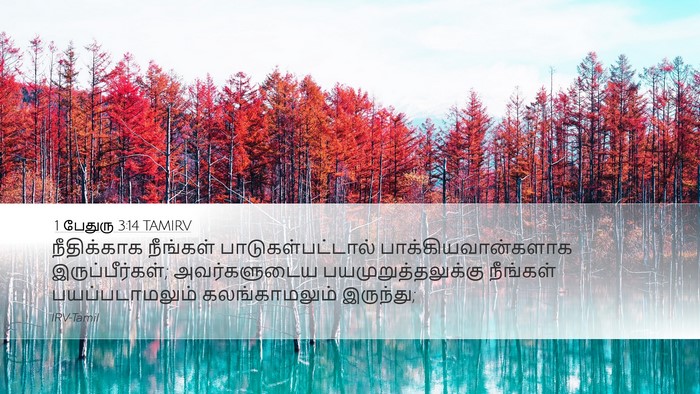 1 பேதுரு 3:14 TAMIRV Bible Verse Image