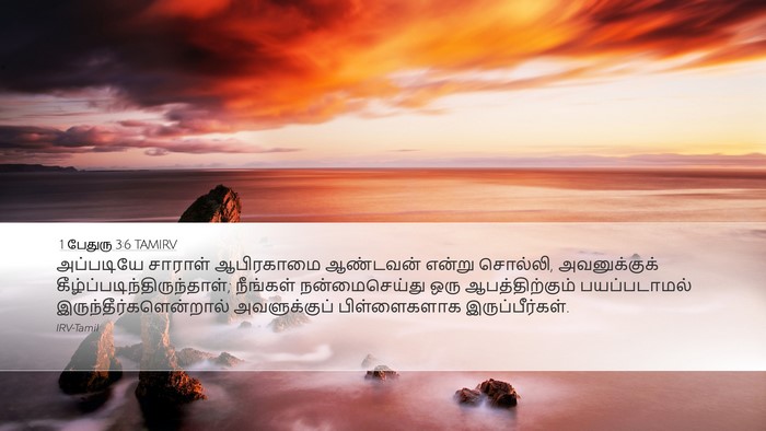 1 பேதுரு 3:6 TAMIRV Desktop Wallpaper - அப்படியே சாராள் - Desktop Bible Verse Wallpaper