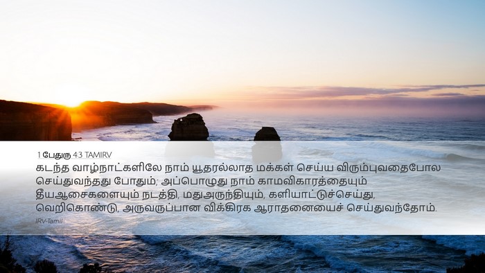 1 பேதுரு 4:3 TAMIRV Bible Verse Image