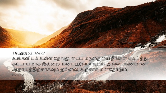 1 பேதுரு 5:2 TAMIRV Desktop Wallpaper - உங்களிடம் உள்ள - Desktop Bible Verse Wallpaper