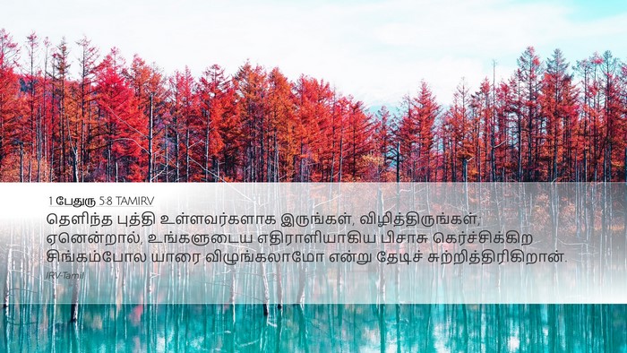 1 பேதுரு 5:8 TAMIRV Bible Verse Image