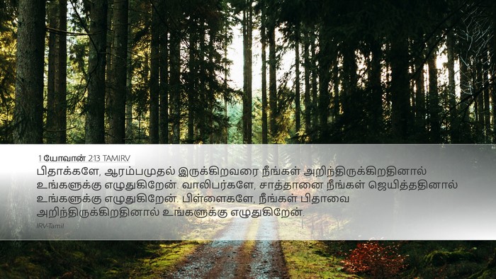 1 யோவான் 2:13 TAMIRV Bible Verse Image