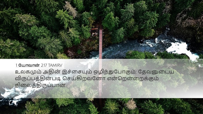 1 யோவான் 2:17 TAMIRV Bible Verse Image