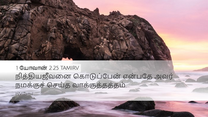 1 யோவான் 2:25 TAMIRV Bible Verse Image