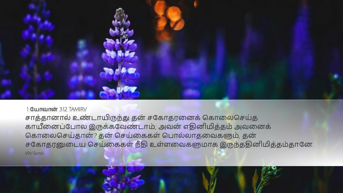 1 யோவான் 3:12 TAMIRV Bible Verse Image