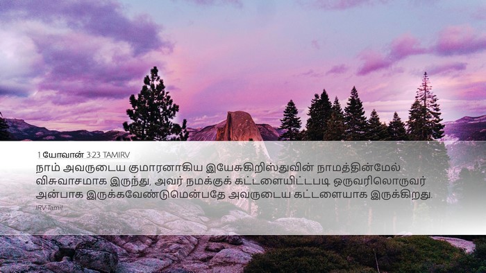 1 யோவான் 3:23 TAMIRV Bible Verse Image