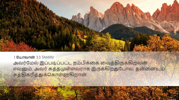 1 யோவான் 3:3 TAMIRV Bible Verse Image